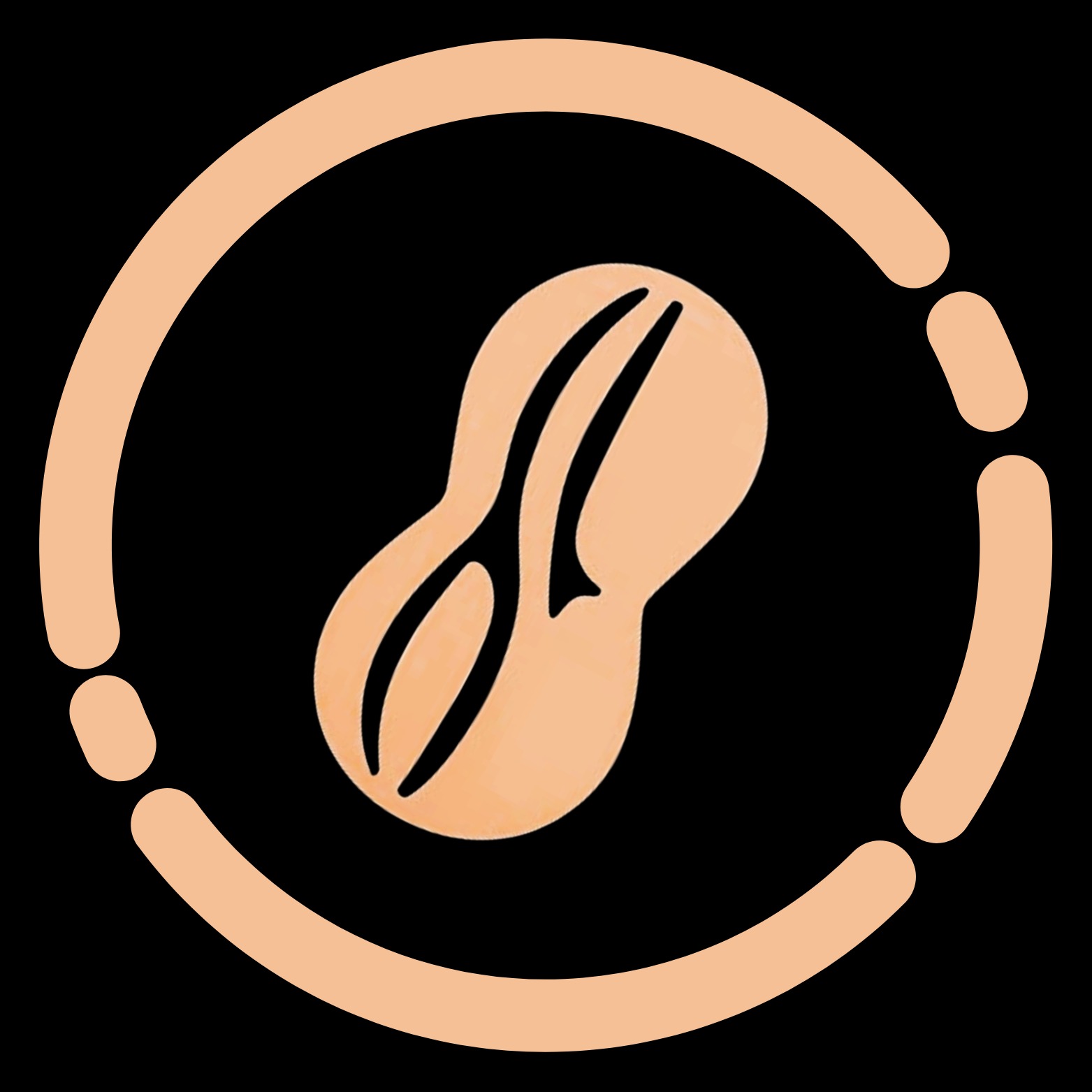 Asternuts Logo